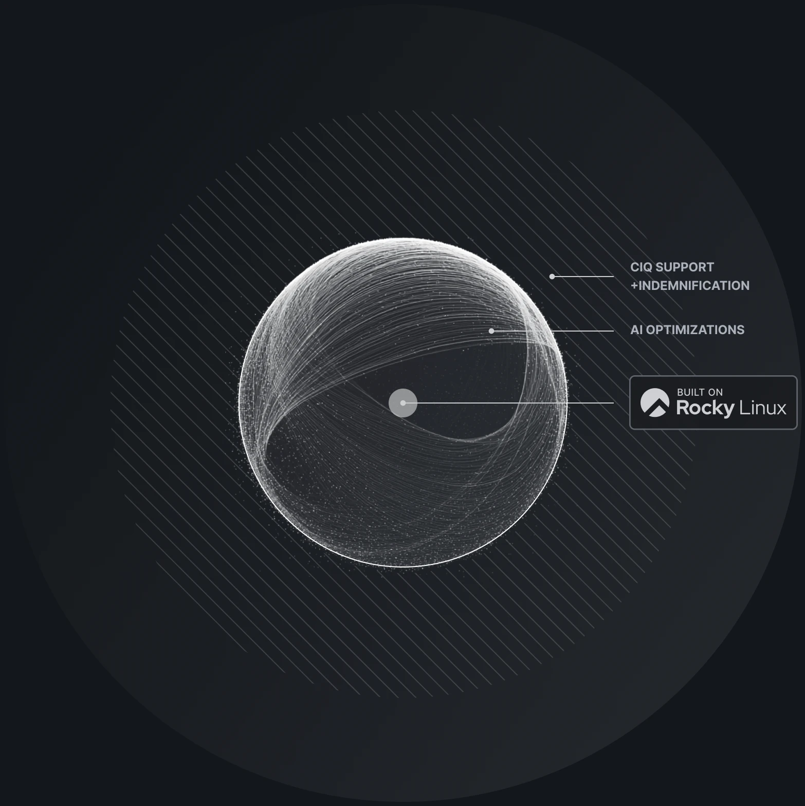 Rocky Linux from CIQ - AI